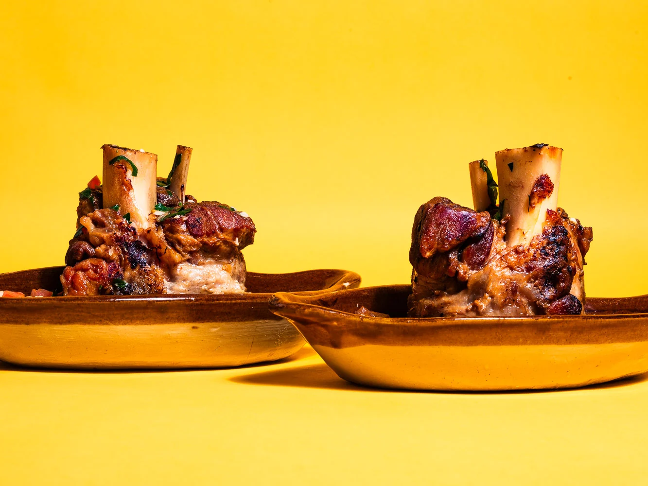 WHOLE PORK FORE SHANKS - Image 5
